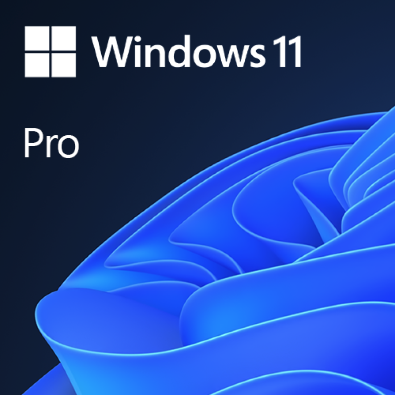 Microsoft Windows 11 Professional 64-bit, OEM DVD, Single Copy, DSP